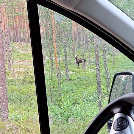 B&B Sunnemoslantliv Eksteriør billede
